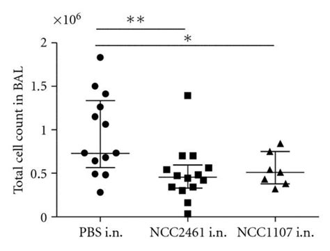 Effect Of Intranasal L Paracasei Ncc2461 And L Plantarum Ncc1107 On