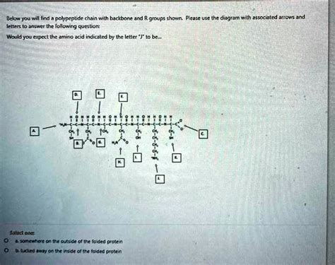 Polypeptide Chain Diagram