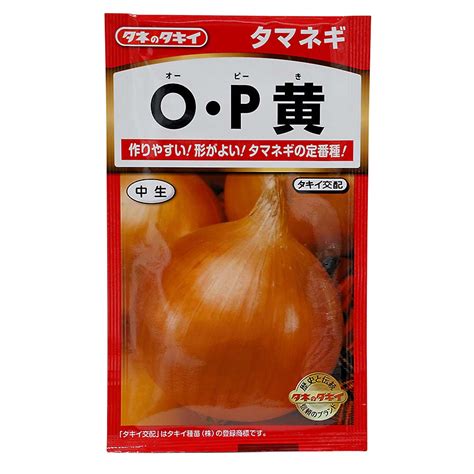 O･p黄 玉葱 秋まき ジョイフル本田 取り寄せ＆店舗受取