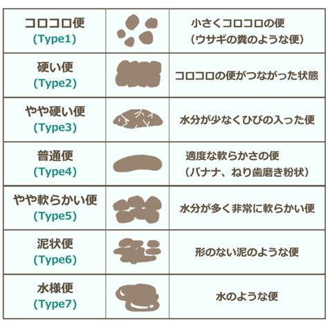 コロコロうんち？便秘なら今宿の宮本内科胃腸栄養クリニック｜福岡市西区