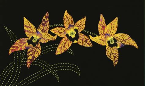 Golden Girls Sashiko Applique Fabric Kit From The Orchids Of Hawaii