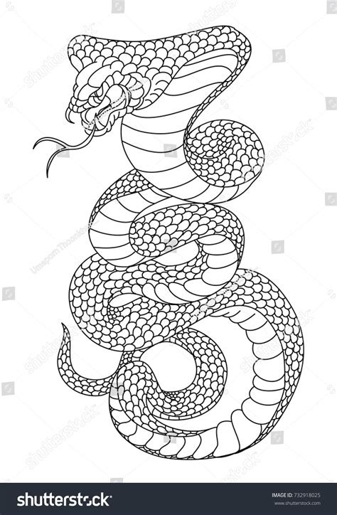 Outline Snake Vector Hand Drawn Cobra Stock Vector Royalty Free 732918025