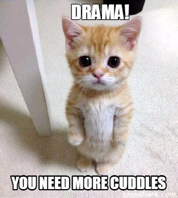 Meme Creator Funny DRAMA YOU NEED MORE CUDDLES Meme Generator At