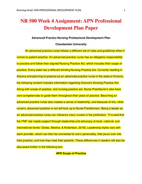 Nr Week Assignment Apn Professional Development Plan Paper