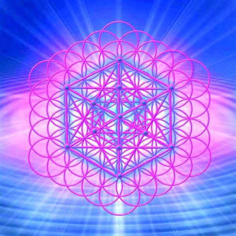 Higher Consciousness Love from Universe | Sacred geometry, Wheel of life, Sacred symbols