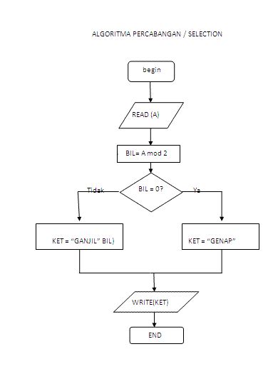 Contoh Soal Algoritma Dan Flowchart Beserta Jawabannya Loops Perulangan