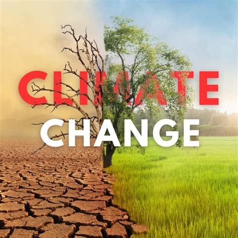 Climate Change in India – Effects and Solutions → Impaac blog