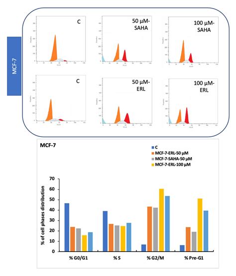 Cell Cycle Stages Distribution In Mcf 7 Breast Cancer Cells Treated Download Scientific Diagram