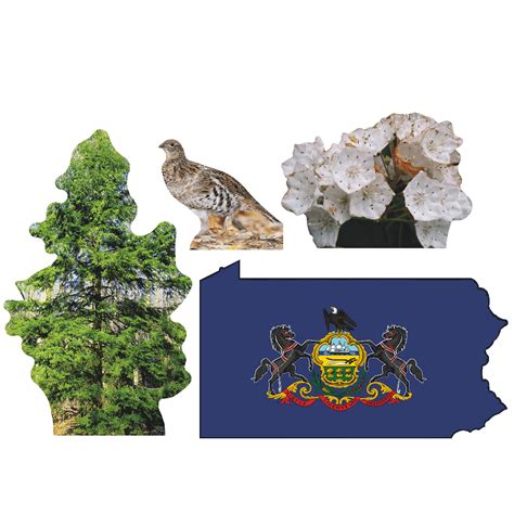 Pennsylvania State Tree Flower Bird Cardboard Cutout Pack Standee