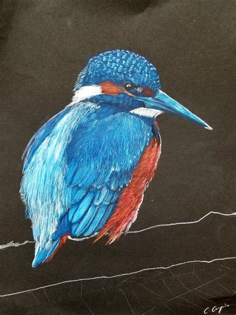 Bird Rdrawing