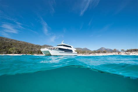 Wineglass Bay Cruises Coles Bay All You Need To Know