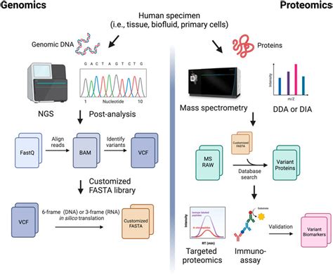 Frontiers Variant Biomarker Discovery Using Mass Spectrometry Based