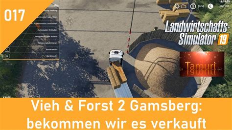 Ls Vieh Forst Gamsberg Lets Play Bekommen Wir Es Verkauft