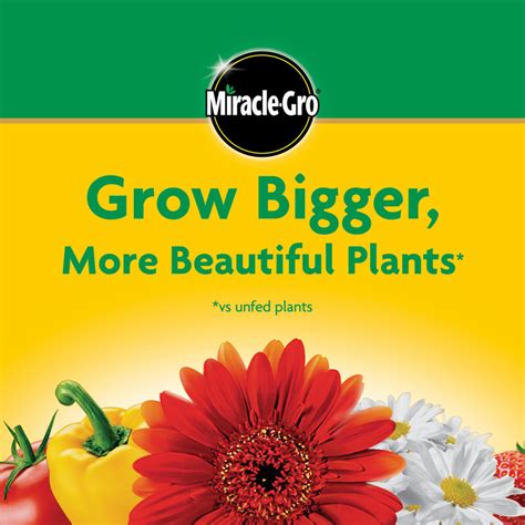 Miracle Gro Water Soluble All Purpose Plant Food Miracle Gro