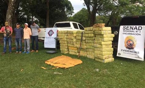 Incautan Una Tonelada De Marihuana En San Pedro Del Paraná Noticiero Paraguay