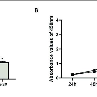 Effect Of Lncrna Hottip On Proliferation Function Of Gastric Carcinoma