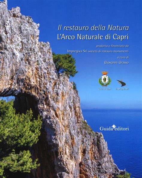 Amazon In Buy Il Restauro Della Natura L Arco Naturale Di Capri Ediz