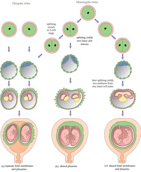 OLCreate HEAT LDC ET 1 0 Labour And Delivery Care Module 8 Abnormal