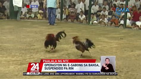 Operasyon Ng E Sabong Sa Bansa Suspendido Pa Rin Oras Youtube