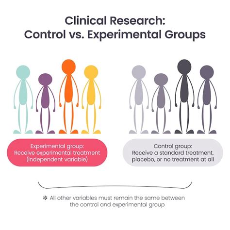 Grupos de control versus grupos experimentales infografía vectorial