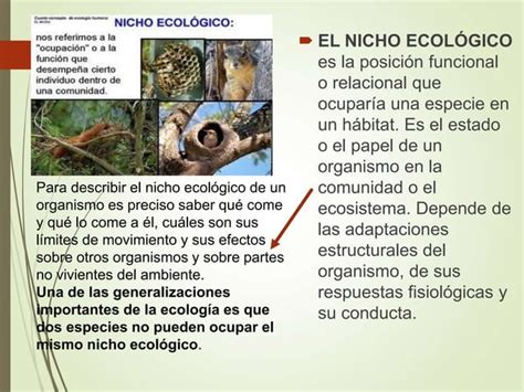 Biolog A Habitat Y Nicho Ecologico Ppt