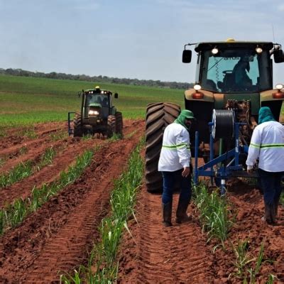 Mesmo em ano chuvoso produtores devem investir em irrigação para não