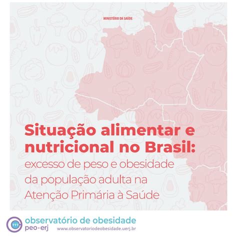 Atlas da Situação Alimentar e Nutricional no Brasil excesso de peso e