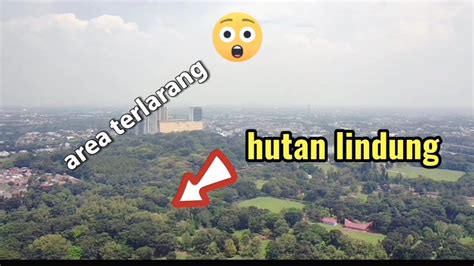 NEKAT PANTAU HUTAN TERLARANG DI TENGAH KOTA DENGAN DRONE SJRC F22S 4K