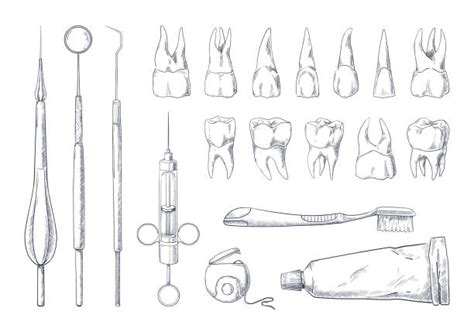 Drawing Of The Orthodontics Stock Photos Pictures And Royalty Free