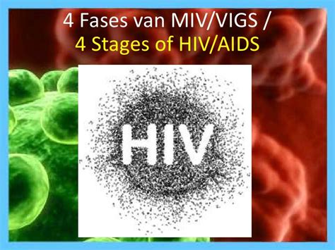 Miv Vigs