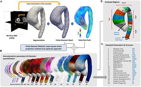 Of The Quantification Process A From The D Flow Cmr Acquisition A