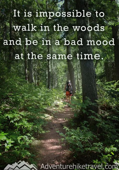 Hiking Quotes To Inspire Your Next Daring Adventure Adventure Hike