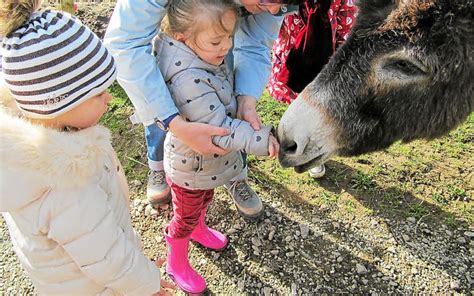 École Javouhey Visite d une ferme à Saint Divy Le Télégramme