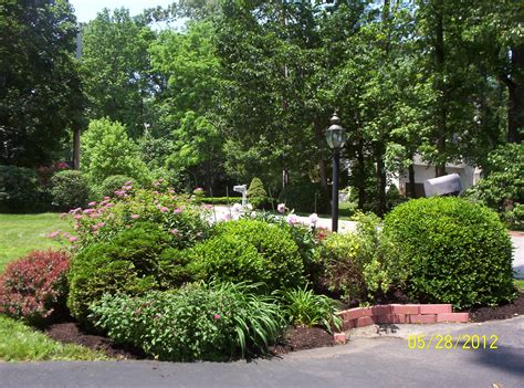 Deer Resistant Landscaping Designs For The Northeast