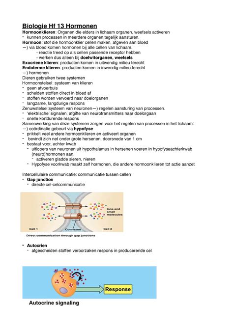 Bio Samenvatting Pp Hf Hormoonstelsel Biologie Hf 13 Hormonen