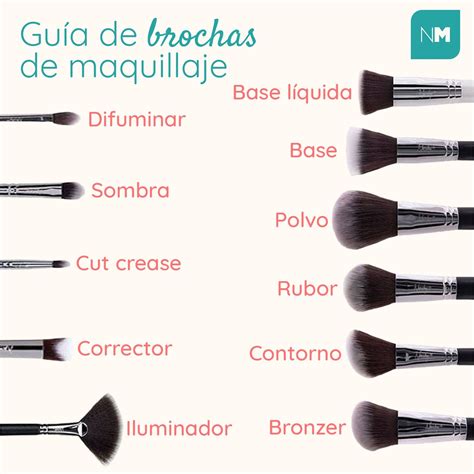 Guía de brochas de maquillaje Makeup order Eye makeup art Beauty