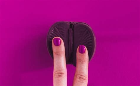 Vagina guia completo para solucionar dúvidas e conhecê la melhor
