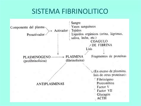 Trastornos De La Hemostasia Ppt Descarga Gratuita