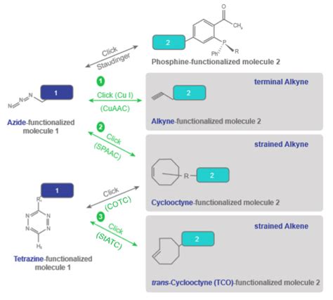 PEGylation: definition, principles, methods and benefits