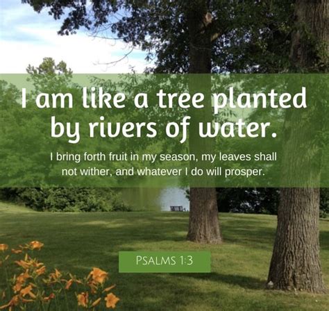 Psalm Kjv And She Shall Be Like A Tree Planted By The