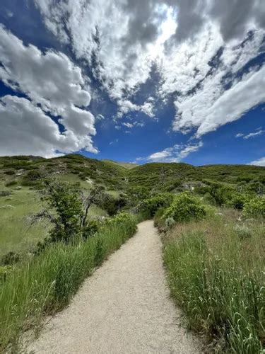 10 Best Trails and Hikes in Draper | AllTrails