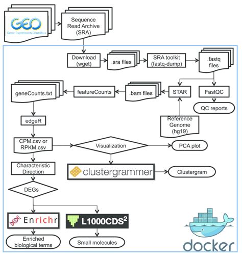 Workflow Of The Different Steps Carried Out In The Pipeline Download Scientific Diagram