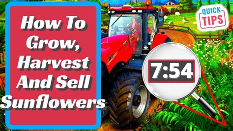 Farming Simulator Sunflowers Complete Guide How To Grow Harvest