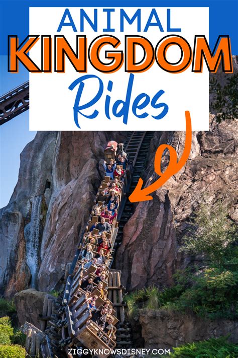 Animal kingdom rides – Artofit