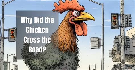 Why Did The Chicken Cross The Road