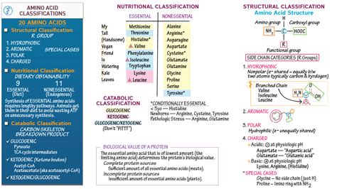 Biochemistry Fundamentals Amino Acid Classification Systems Ditki