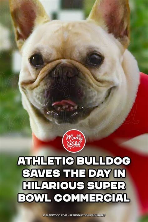 Athletic Bulldog Saves The Day In Hilarious Super Bowl Commercial