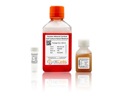 Human Adrenal Cortical Cell Culture Medium Ixcells