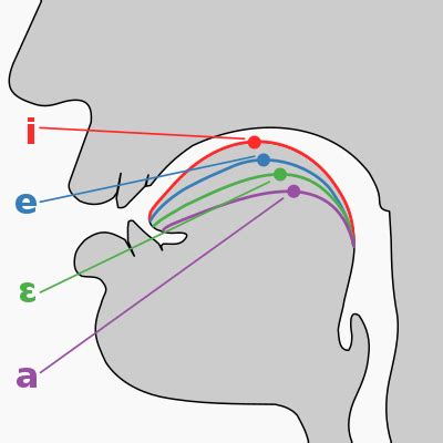 Vowel - Wikipedia