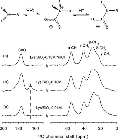 H C Cp Mas Nmr Spectra Of A Lys Sio M B Lys Sio